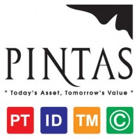 Pintas IP Group